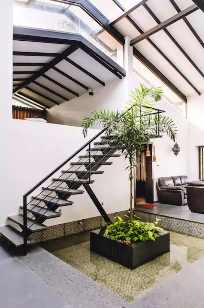 Stairs,Property,Daylighting,Houseplant,Architecture,Flowerpot,Plant,Building,Tree,House