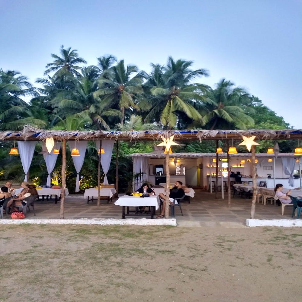 Resort,Palm tree,Vacation,Tree,Arecales,Beach,Restaurant,Building,Shade,Hotel