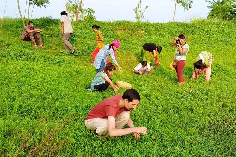 People in nature,Grass,Grassland,Grass family,Adaptation,Farm,Pasture,Paddy field,Plantation,Rural area