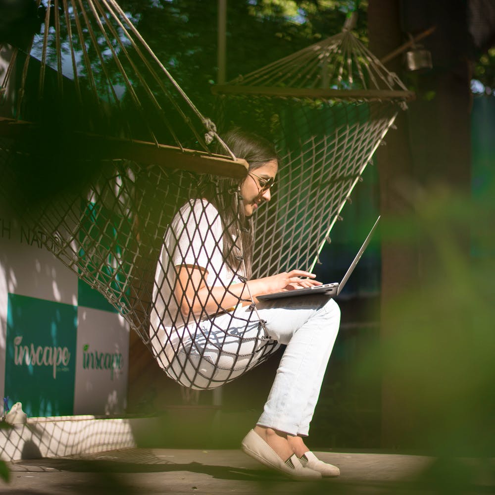 Net,Leisure,Photography,Fun,Tree,Stock photography