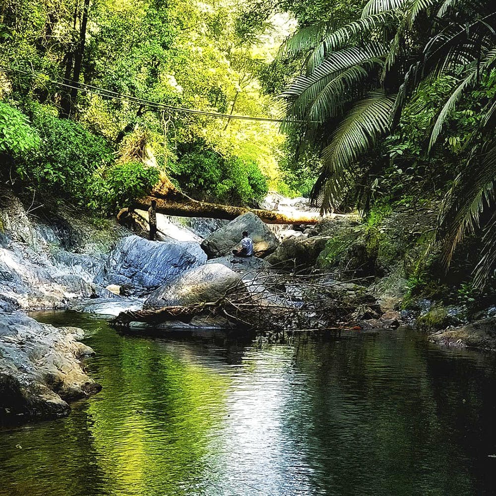 Body of water,Natural landscape,Water resources,Nature,Vegetation,Water,Watercourse,Nature reserve,Riparian zone,Natural environment