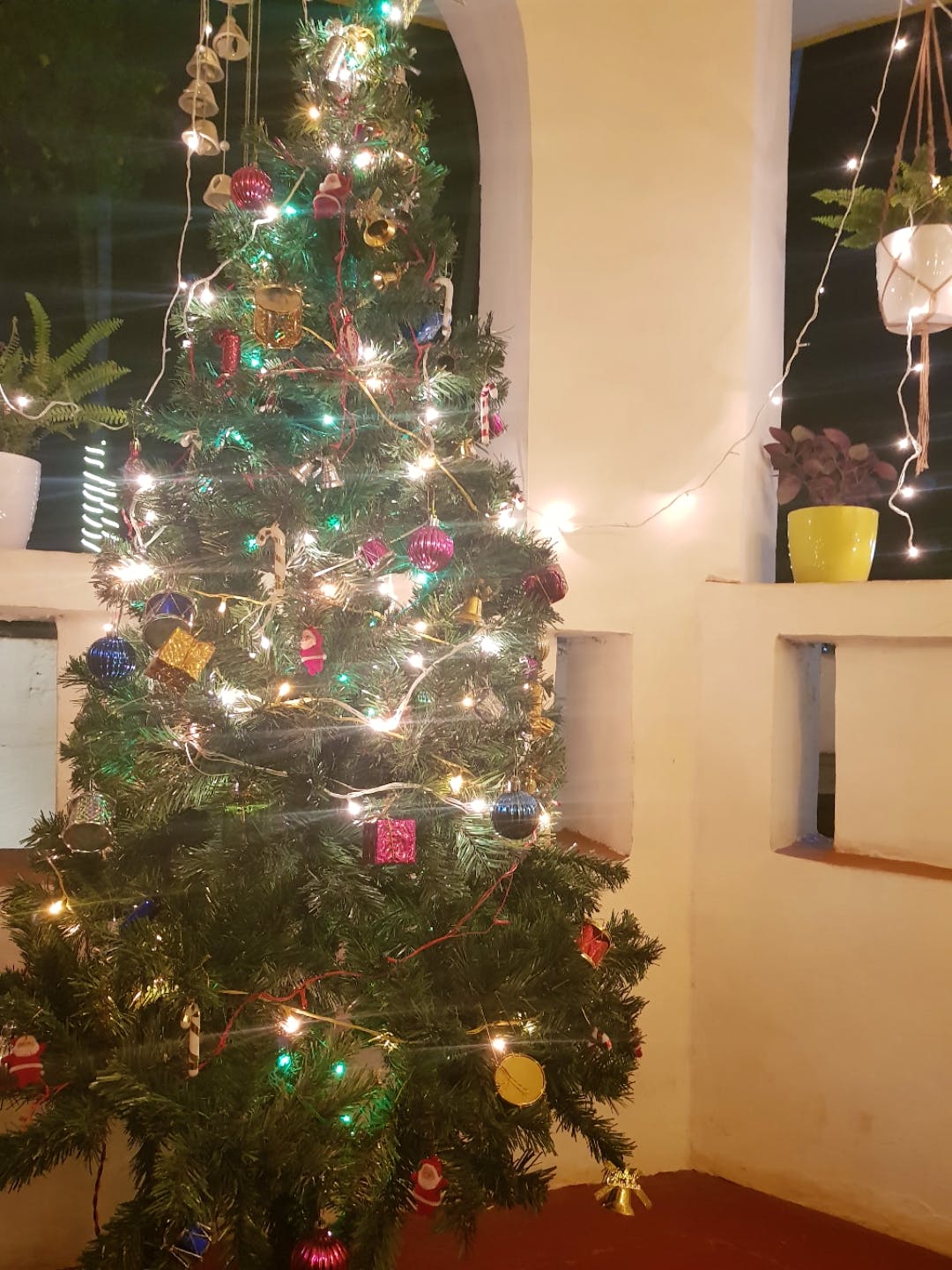 Christmas,Christmas tree,Christmas decoration,Christmas ornament,Tree,Holiday ornament,Home,Spruce,Evergreen,Branch