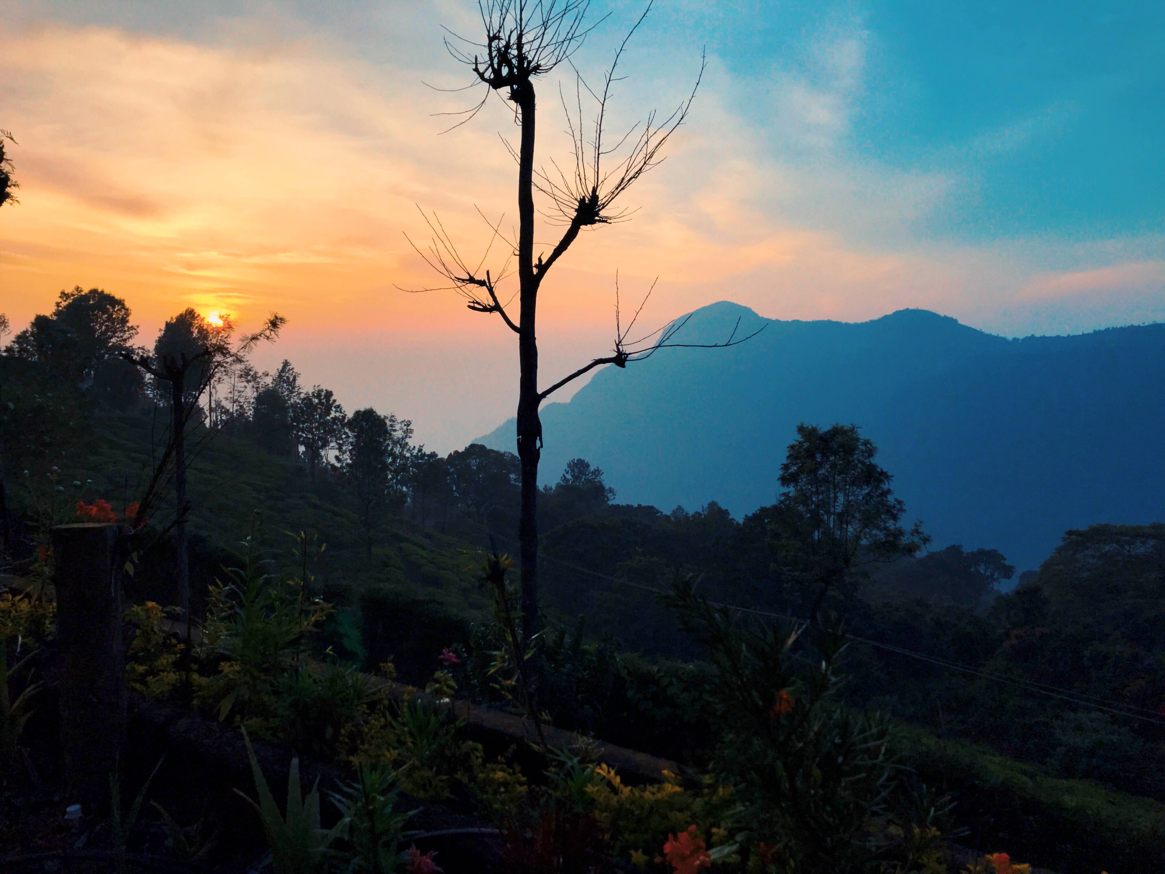 Sky,Nature,Vegetation,Atmospheric phenomenon,Tree,Morning,Hill station,Natural landscape,Sunrise,Mountain