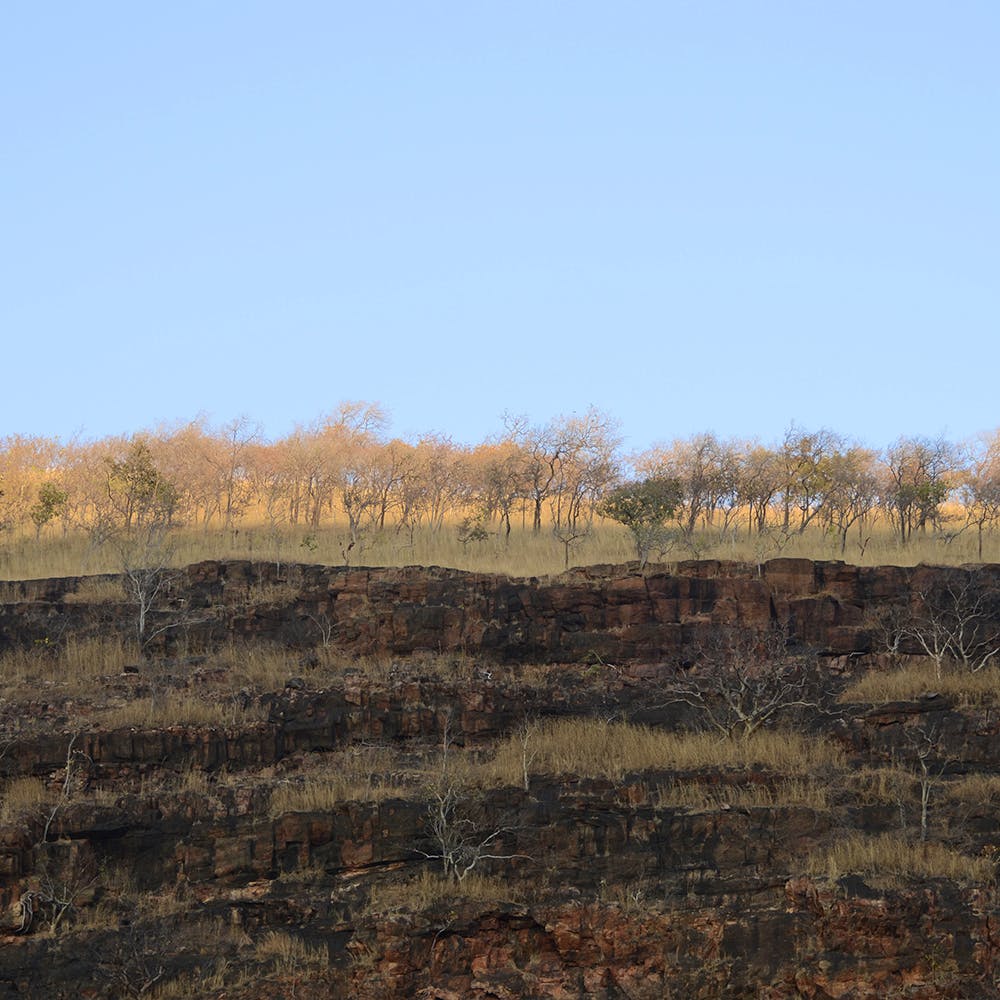 Wall,Sky,Plant community,Soil,Shrubland,Geology,Badlands,Ecoregion,Tree,Grass family