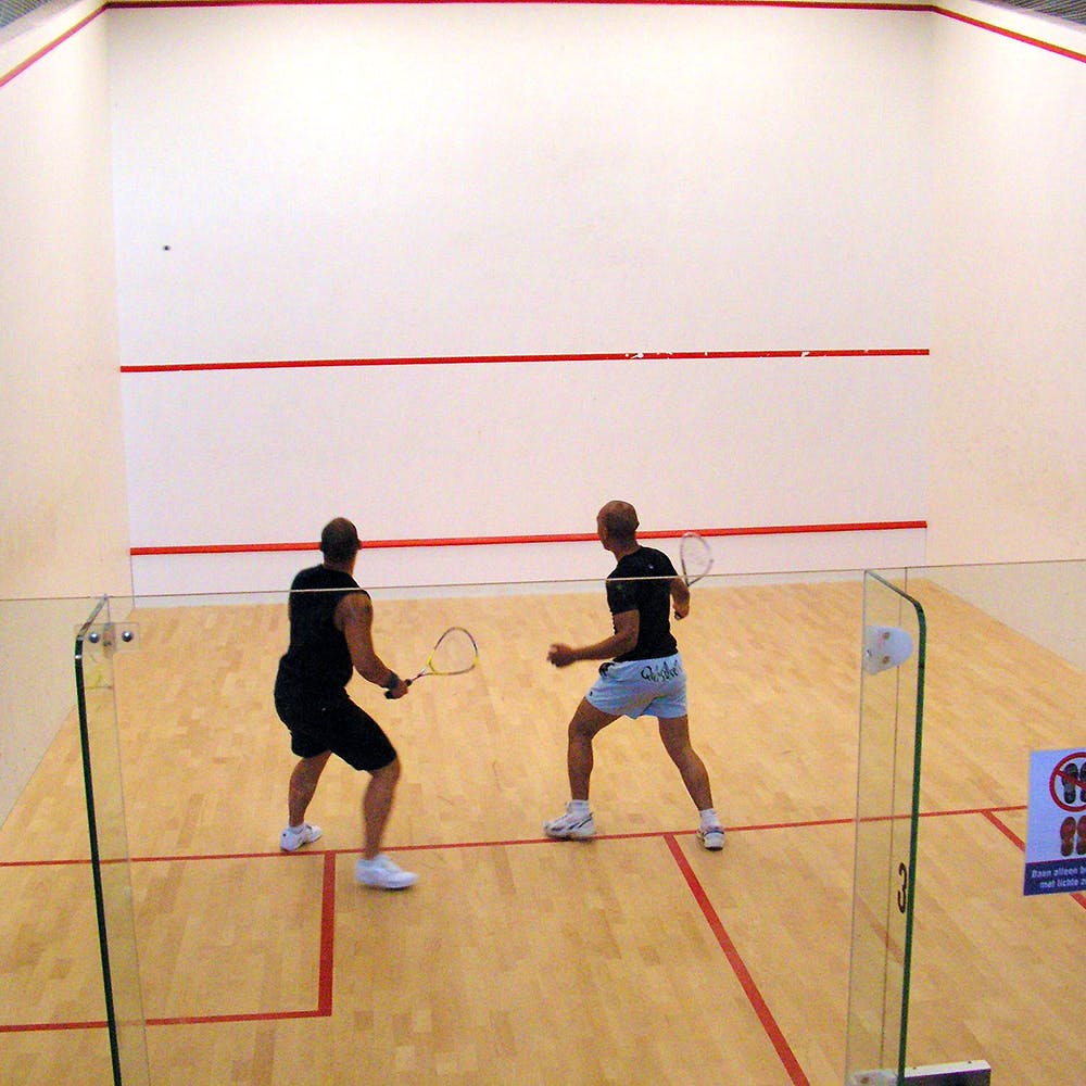 Sports,Squash,Racquetball,Wall & ball sports,Ball game,Racquet sport,Parallel,Sports equipment,Racketlon,Back