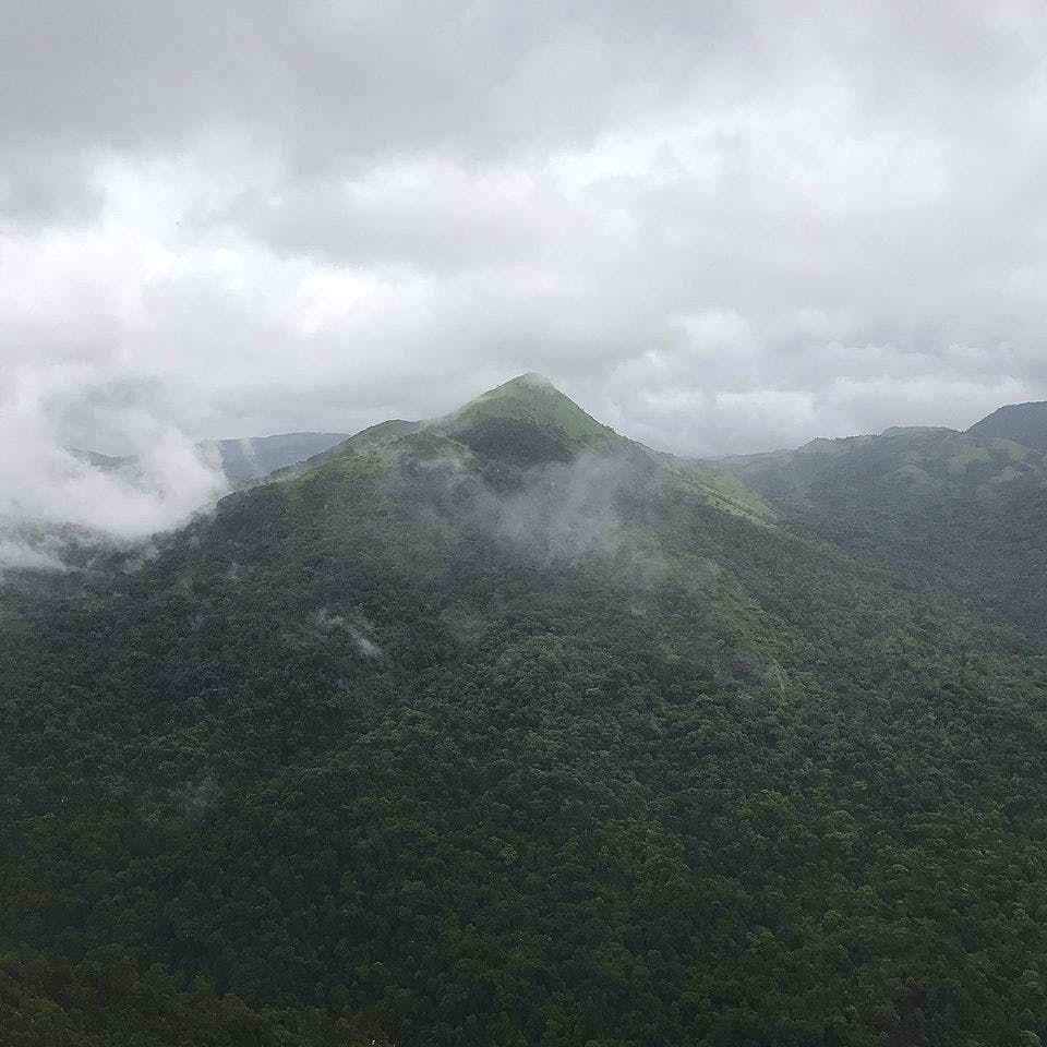 Drive To Scenic Bisle Ghat In Sakleshpur Lbb Bangalore