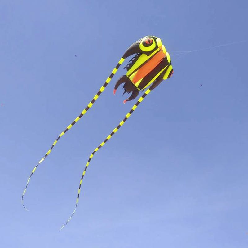 Bengaluru Kite Festival 2020 LBB, Bangalore