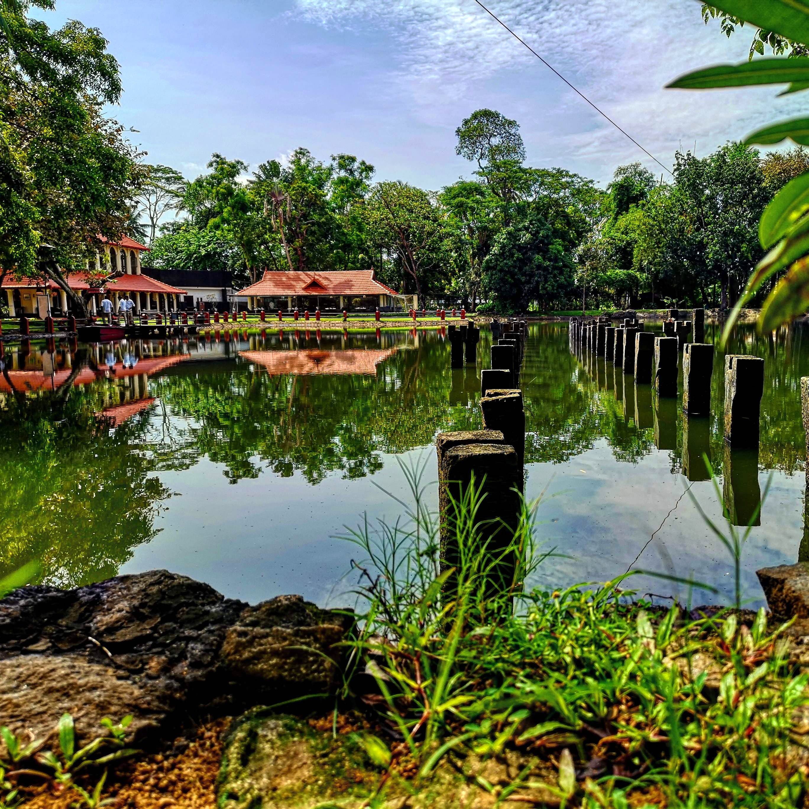 Water,Nature,Reflection,Vegetation,Pond,Water resources,Sky,Natural landscape,Natural environment,Tree