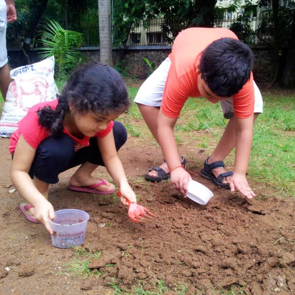 Soil,Community,Sowing,Tree,Adaptation,Arbor day,Play,Fun,Plant,Plantation