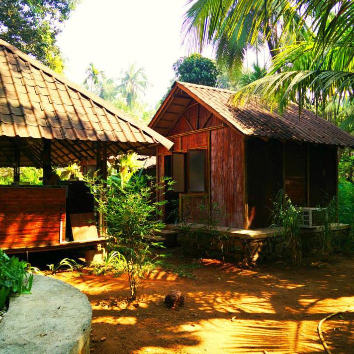 House,Cottage,Building,Hut,Shack,Jungle,Tree,Home,Roof,Eco hotel