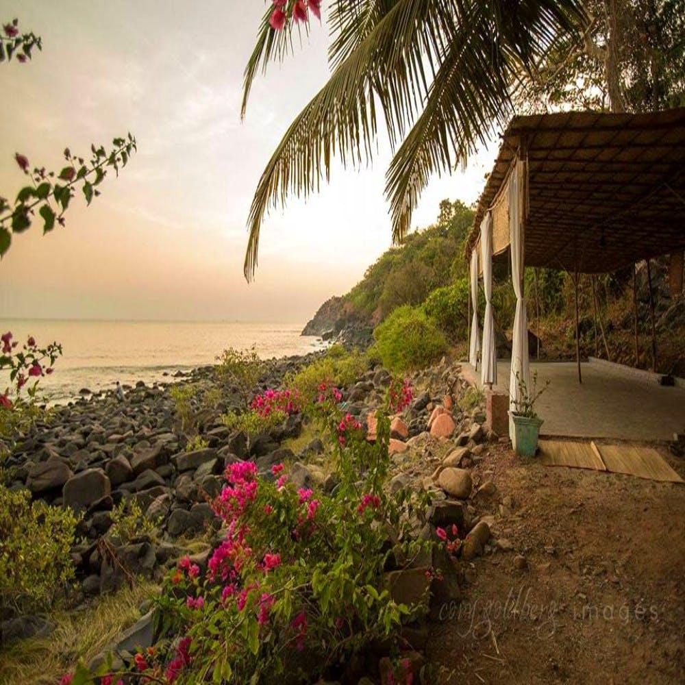 Sky,Tropics,Morning,Tree,Ocean,Vacation,Palm tree,Resort,Plant,Shore