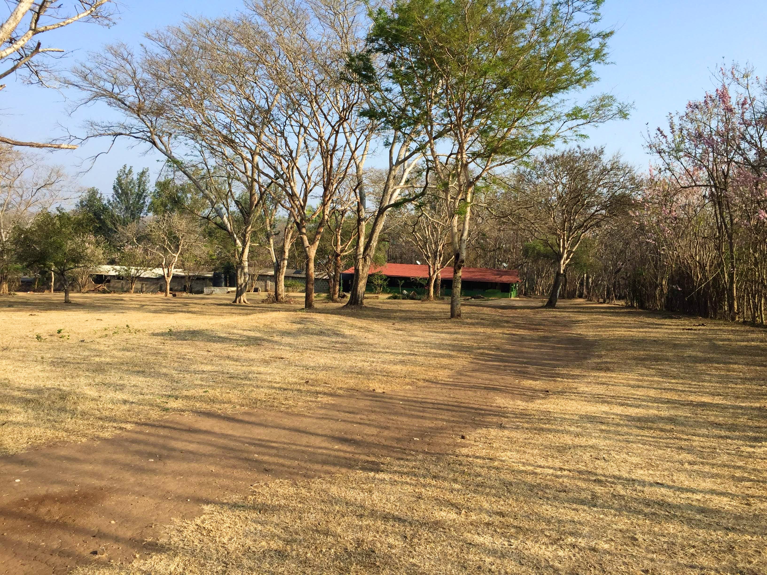 Tree,Natural landscape,Natural environment,Grass,Sky,Woody plant,State park,Landscape,Land lot,Plant