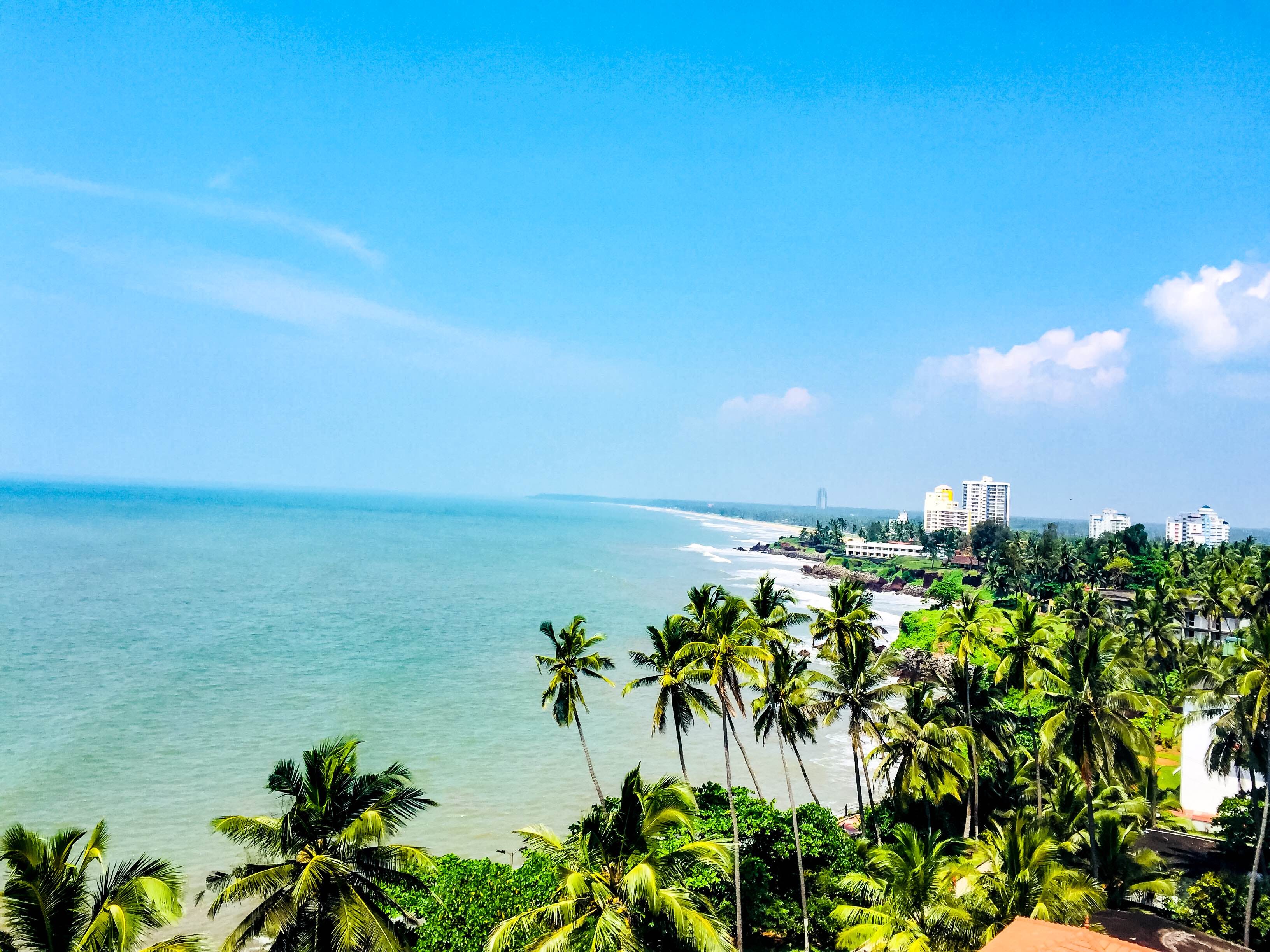 Sky,Vegetation,Sea,Tropics,Ocean,Blue,Palm tree,Coast,Shore,Daytime