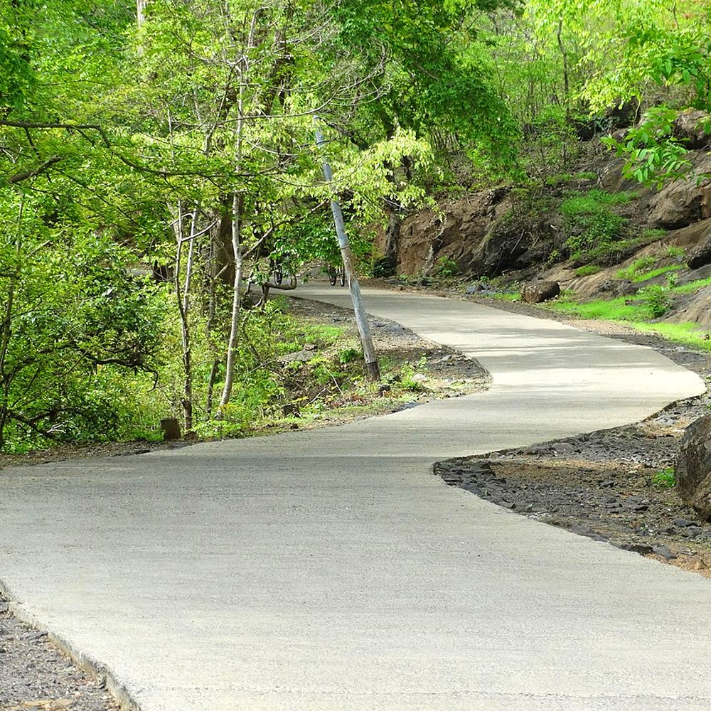 Road,Vegetation,Green,Asphalt,Tree,Natural landscape,Road surface,Thoroughfare,Trail,State park