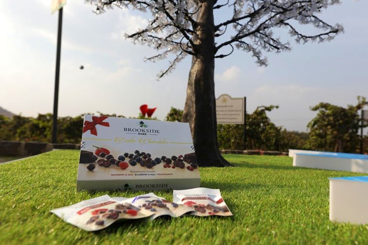 Tree,Memorial,Grass,Recreation,Plant,Lawn,Headstone