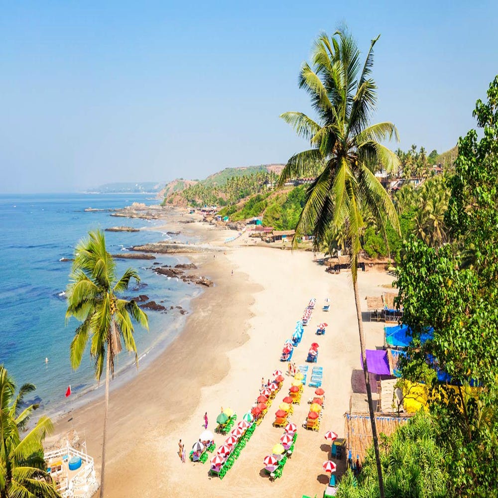 Beach,Vacation,Shore,Tropics,Coast,Palm tree,Sea,Ocean,Tree,Sky