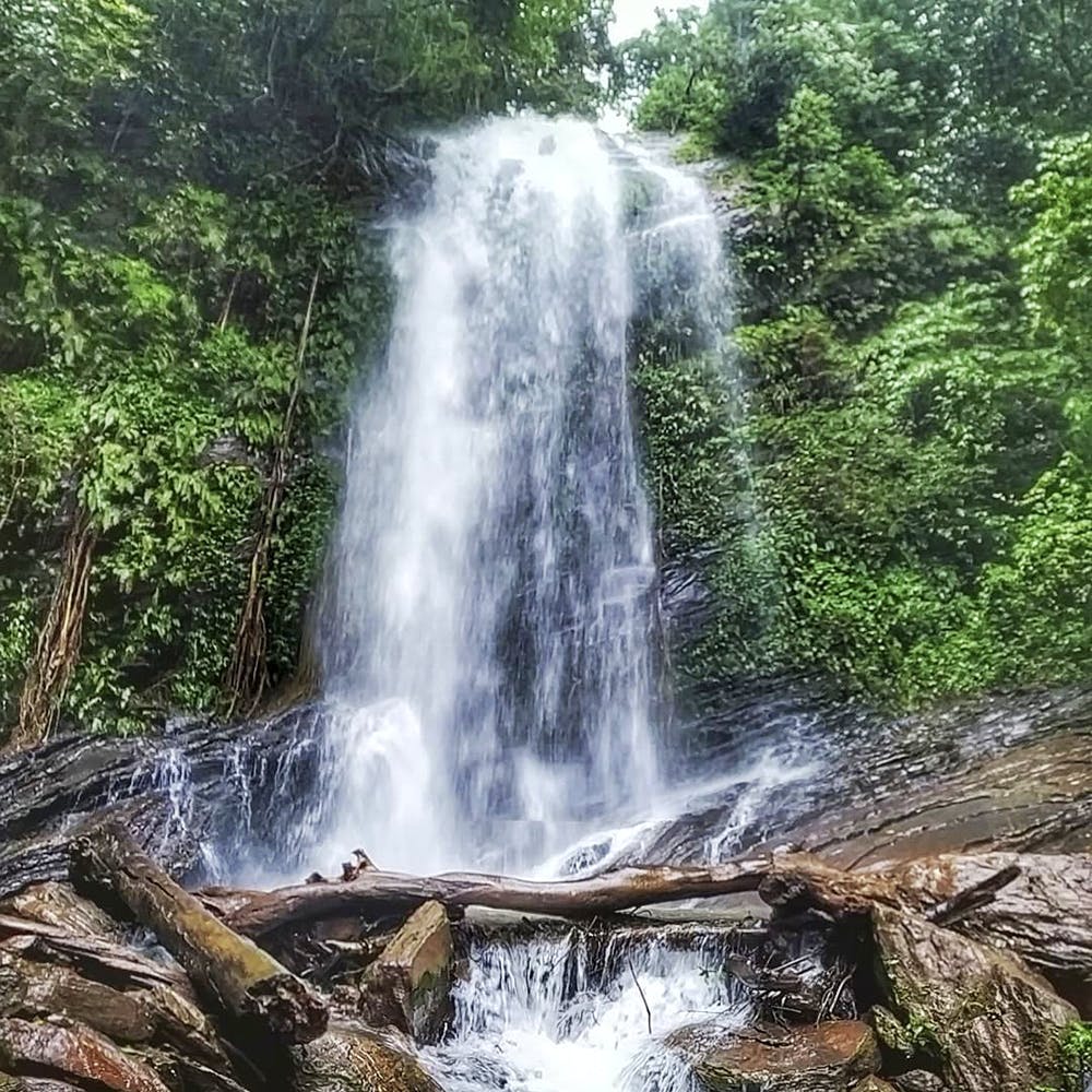 Waterfall,Water resources,Body of water,Natural landscape,Nature,Water,Nature reserve,Watercourse,Vegetation,Chute