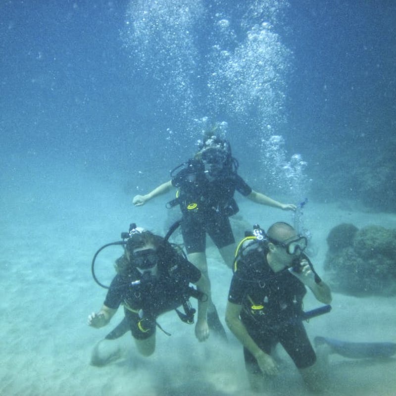 Scuba diving,Divemaster,Underwater diving,Underwater,Aquanaut,Diving equipment,Water,Recreation,Dry suit,Snorkeling
