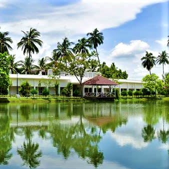 Nature,Resort,Natural landscape,Palm tree,Water resources,Tree,Attalea speciosa,Reflection,Arecales,House