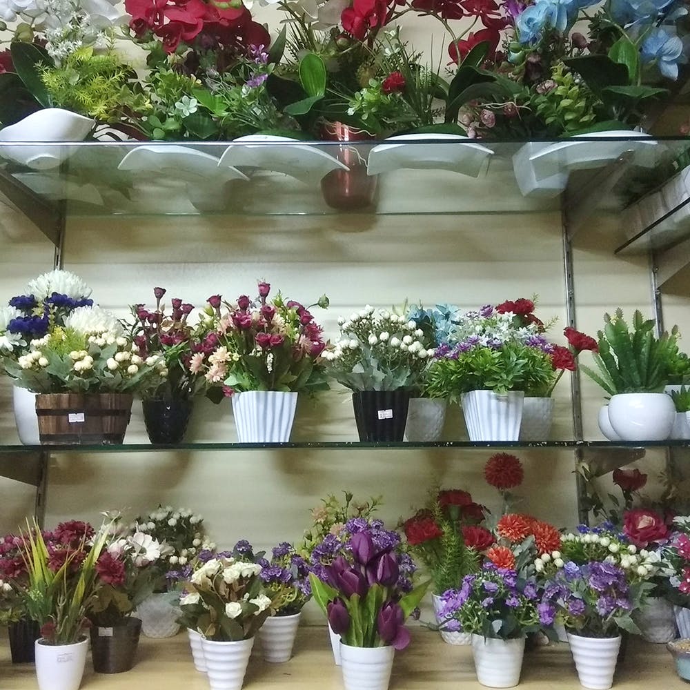 Flower,Flowerpot,Plant,Houseplant,Floristry,Botany,Cut flowers,Artificial flower,Garden,Annual plant
