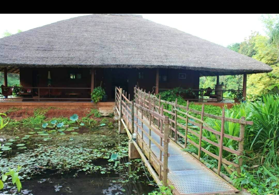 Thatching,Natural landscape,Nature reserve,Water,Hut,Cottage,House,Building,Shack,Roof