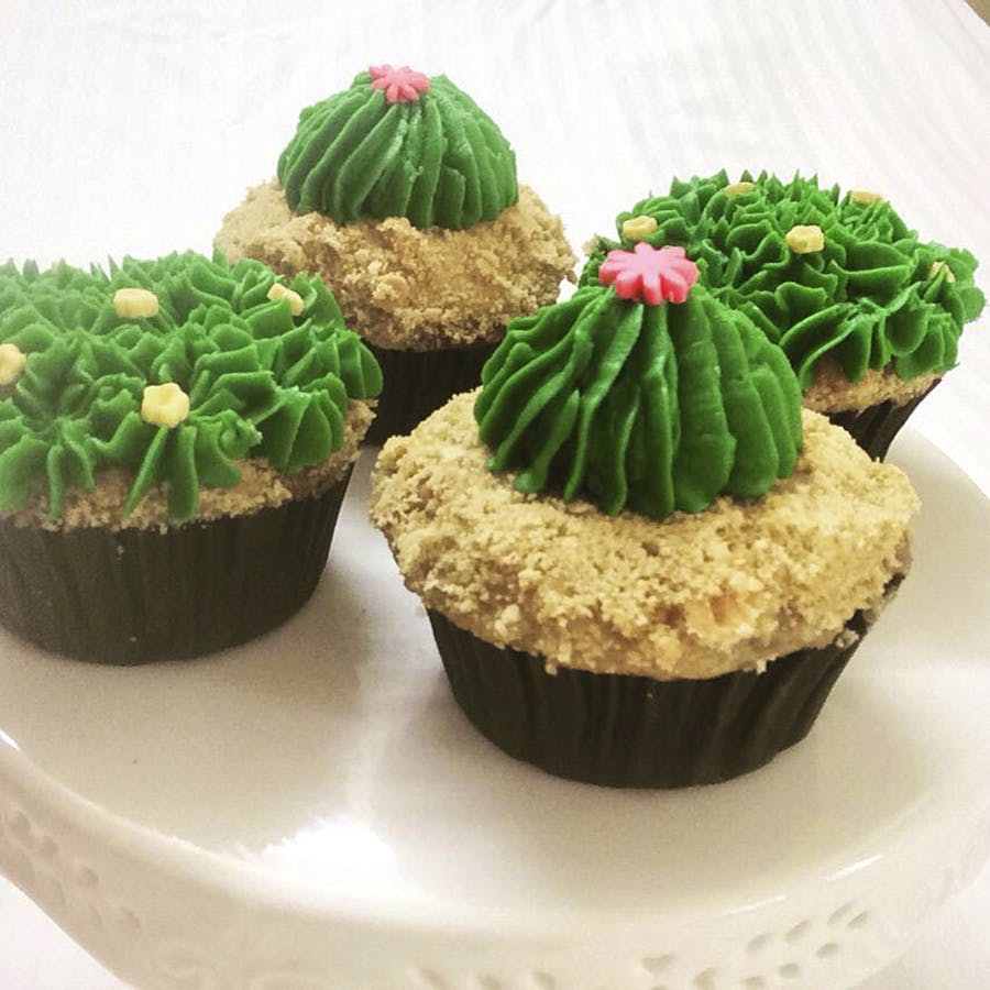 Cupcake,Cake,Flowerpot,Food,Dessert,Icing,Buttercream,Leaf,Cake decorating,Muffin