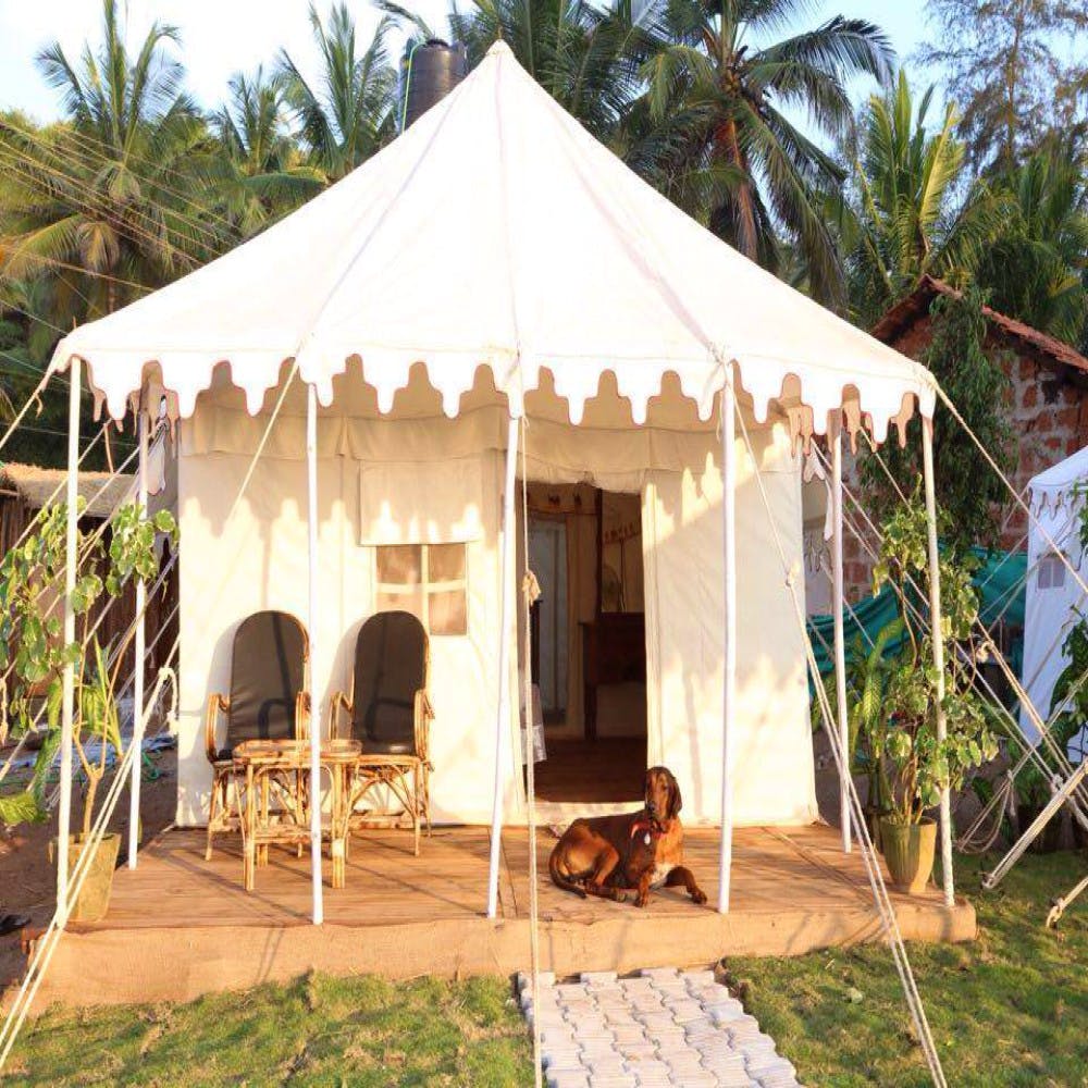 Tent,Canopy,Shade,Building,Gazebo,Pavilion,House,Home,Outdoor structure
