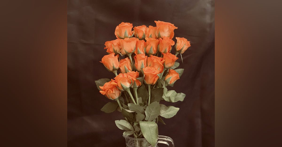 Karuturi Roses Rose Bazaar For All Kinds Of Roses Online | LBB, Bangalore