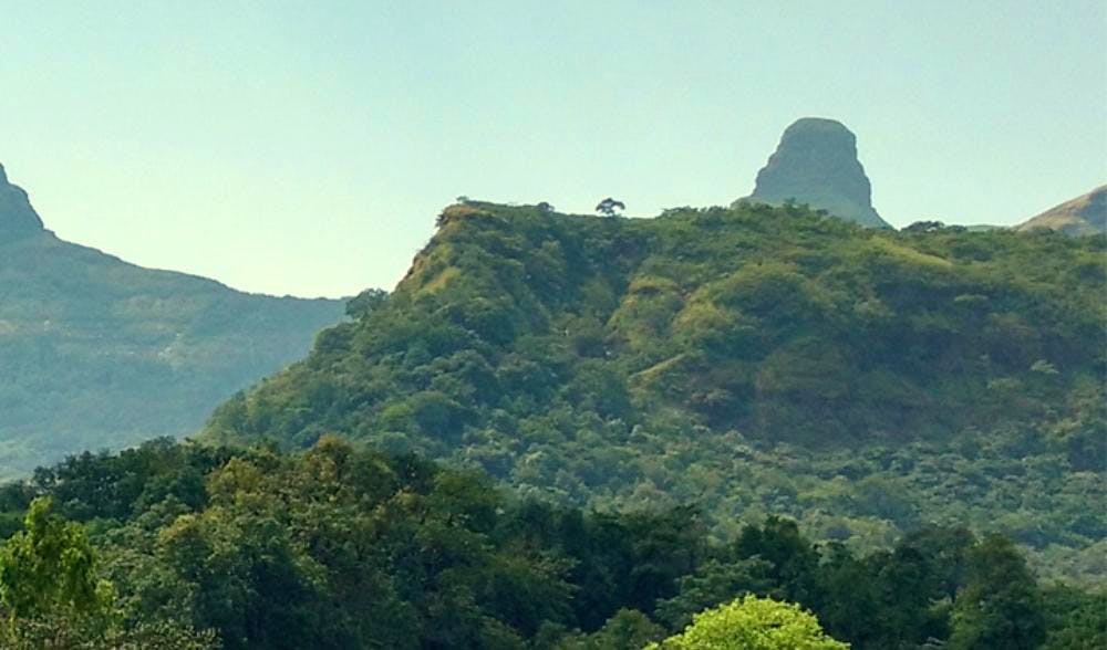 Mountainous landforms,Mountain,Vegetation,Hill station,Highland,Hill,Natural landscape,Wilderness,Nature reserve,Ridge