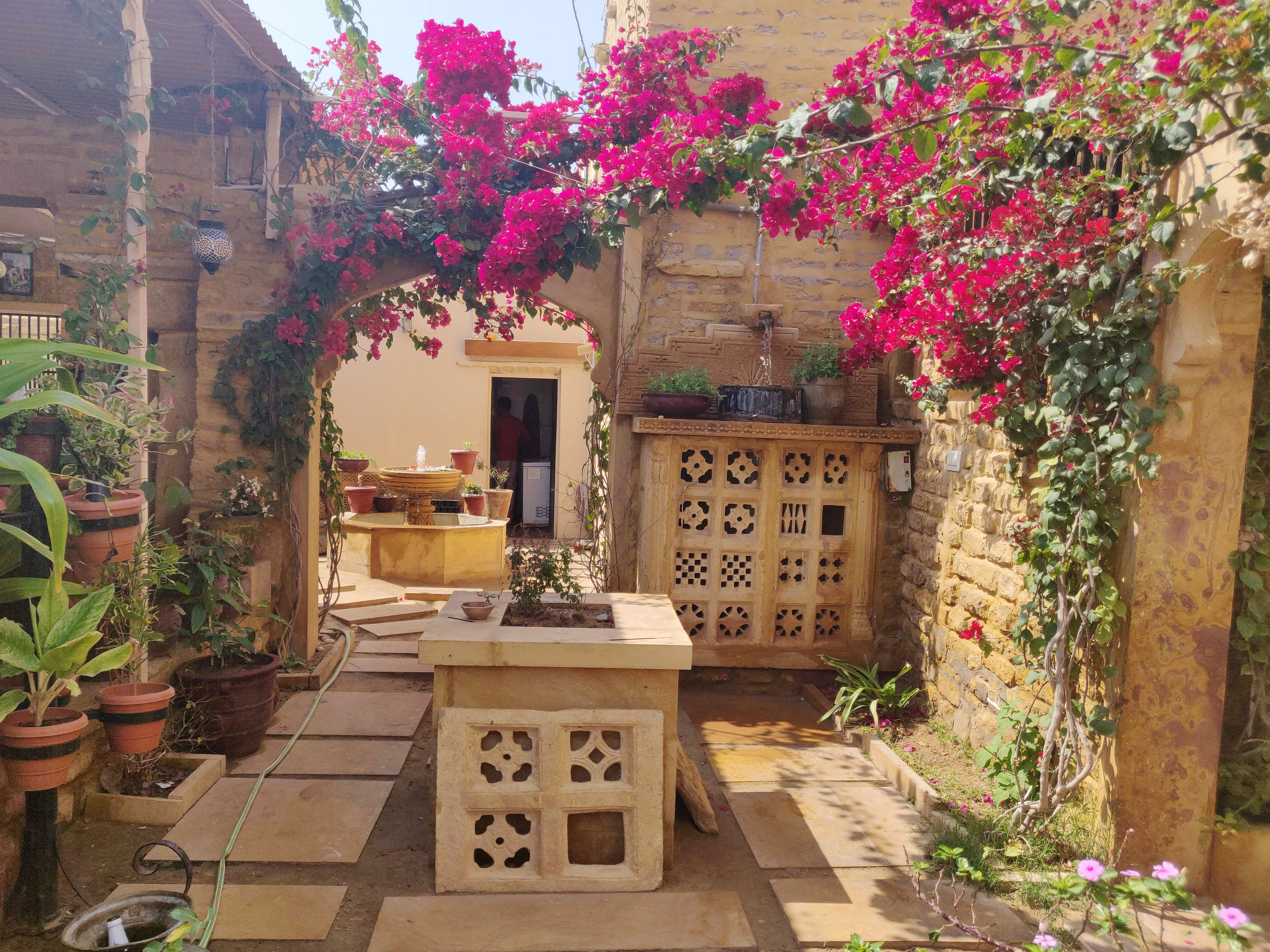 Flower,Pink,Plant,House,Building,Spring,Tree,Courtyard,Room,Architecture