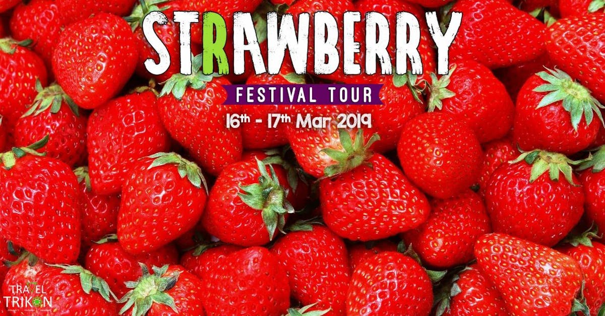 Attend A Strawberry Festival At Mahabaleshwar I LBB, Mumbai
