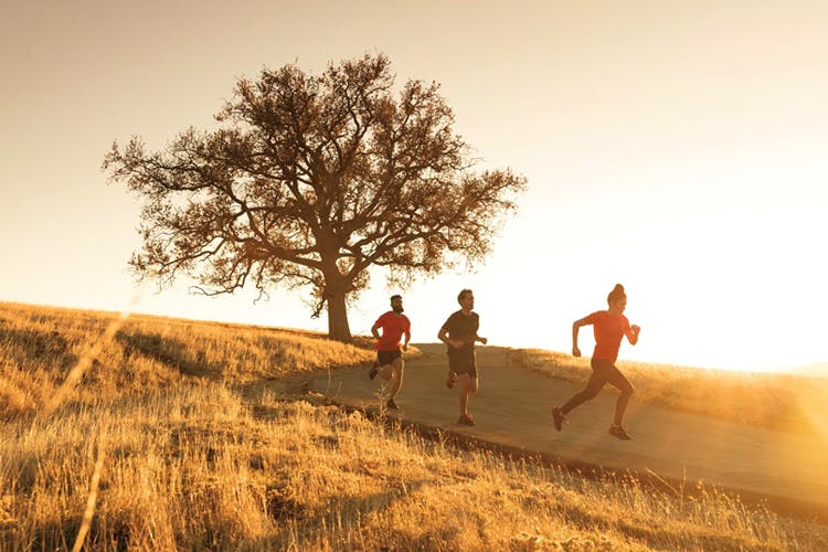 People in nature,Natural landscape,Running,Tree,Sky,Fun,Landscape,Human,Recreation,Photography