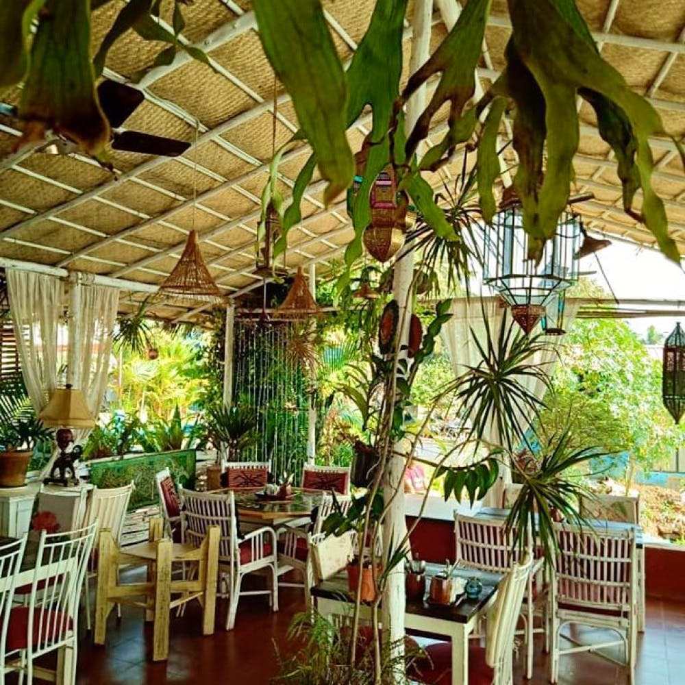 Restaurant,Botany,Building,Plant,Flower,Interior design,Houseplant,Ceiling,House,Vascular plant