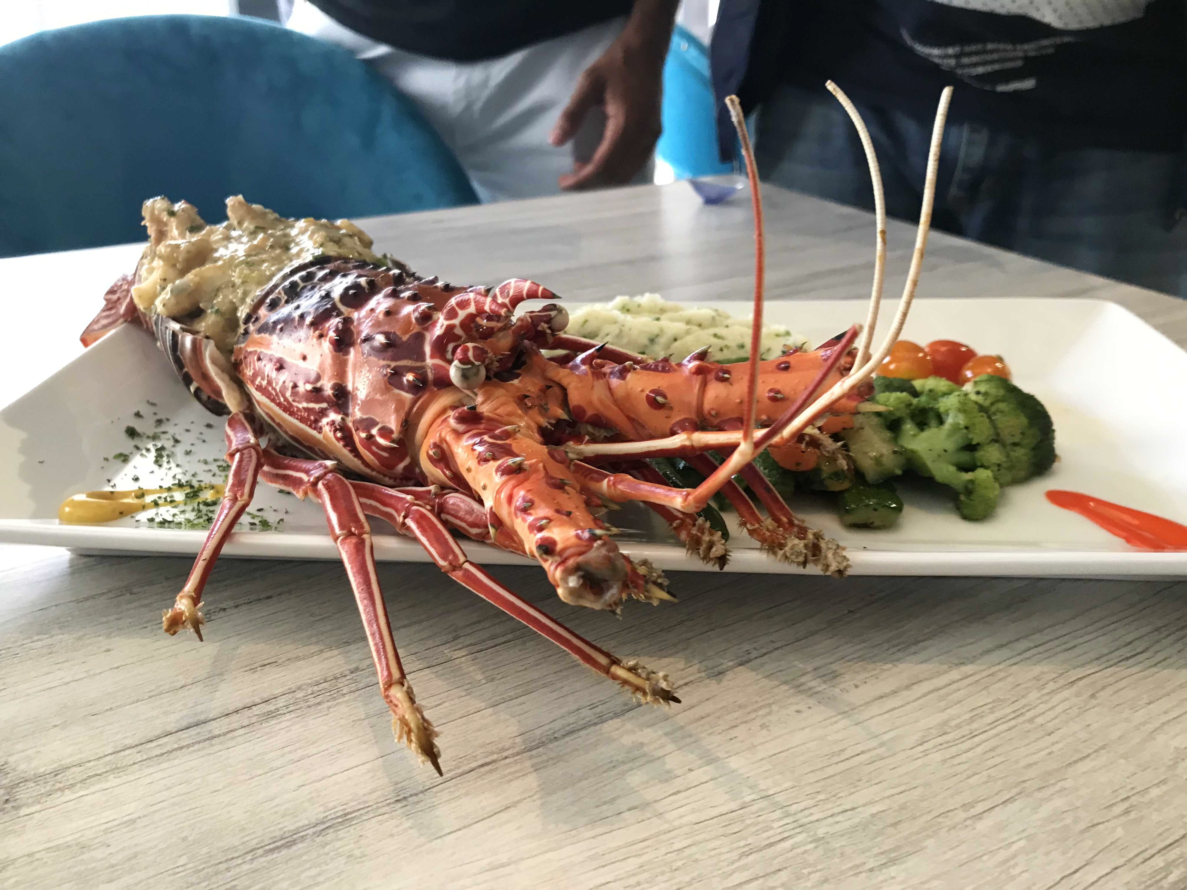 Food,Spiny lobster,Lobster,Dish,Lobster thermidor,American lobster,Cuisine,Seafood,Homarus,Lunch