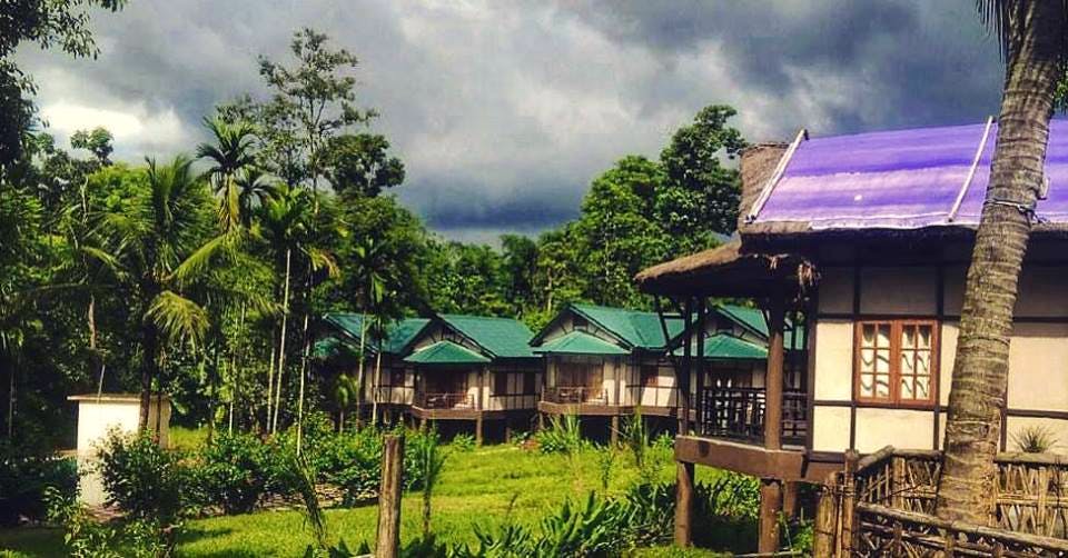 Nature,Sky,House,Property,Rural area,Home,Jungle,Hill station,Cloud,Tree