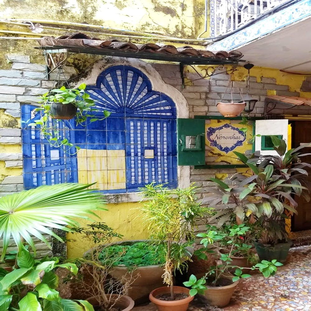 Majorelle blue,Botany,Wall,Houseplant,Architecture,Building,Courtyard,Plant,House,Real estate