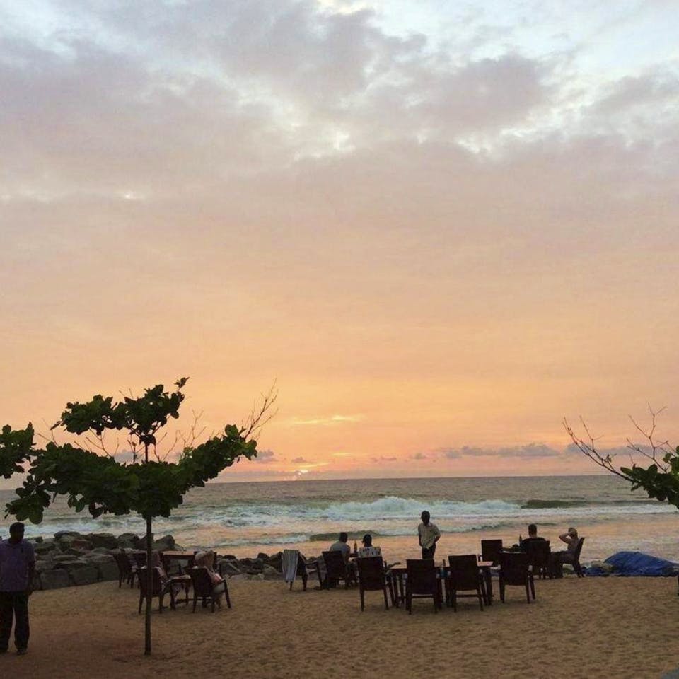 Sky,Beach,Sea,Cloud,Sunset,Tree,Horizon,Evening,Morning,Ocean