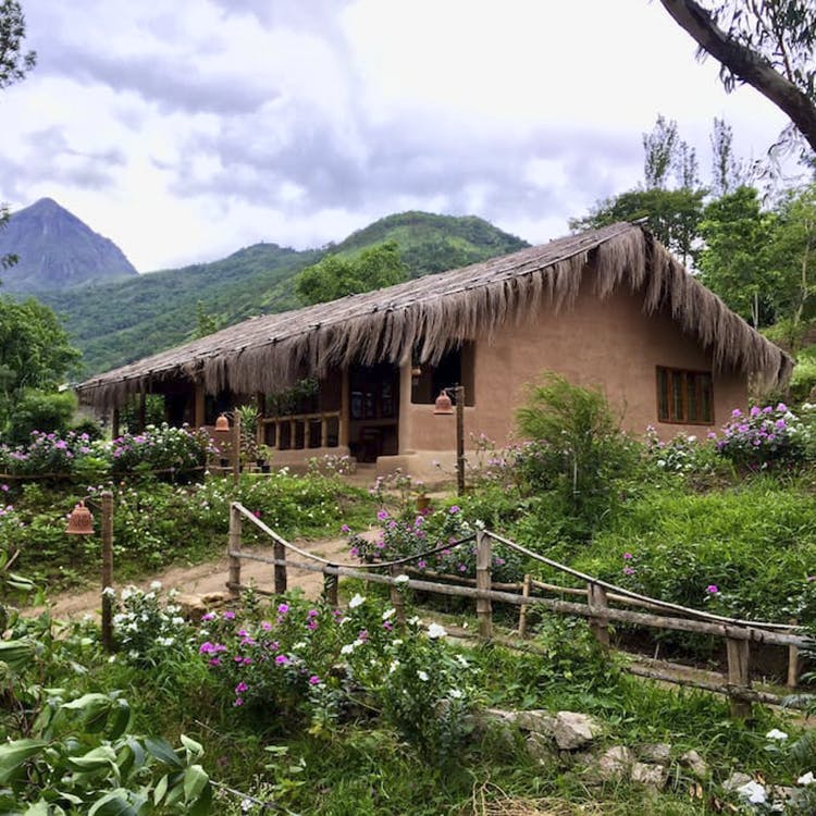 Hut,Shack,Botany,House,Rural area,Thatching,Jungle,Building,Tree,Adaptation