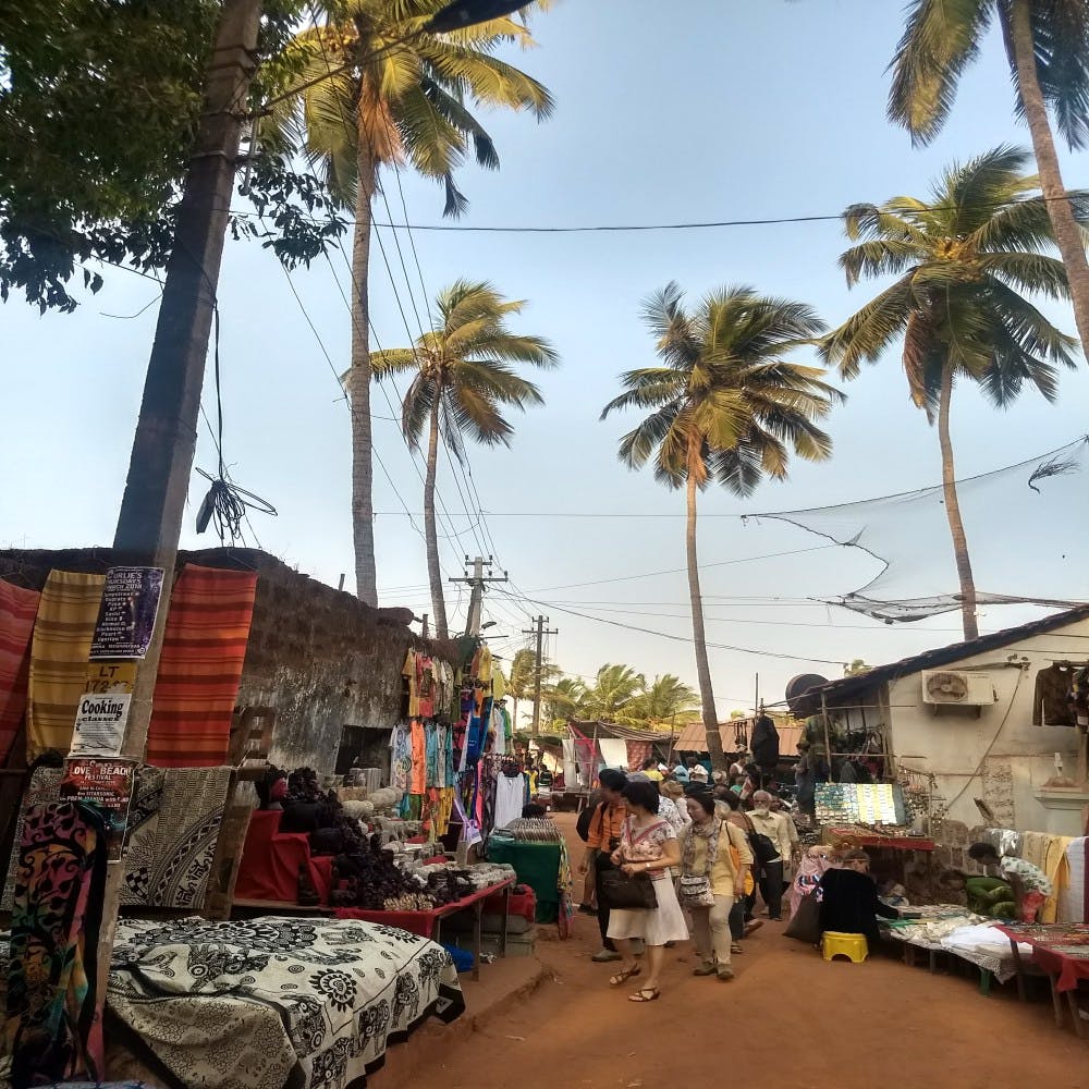 Tree,Sky,Palm tree,Town,Public space,Tourism,Arecales,Vacation,Woody plant,Travel