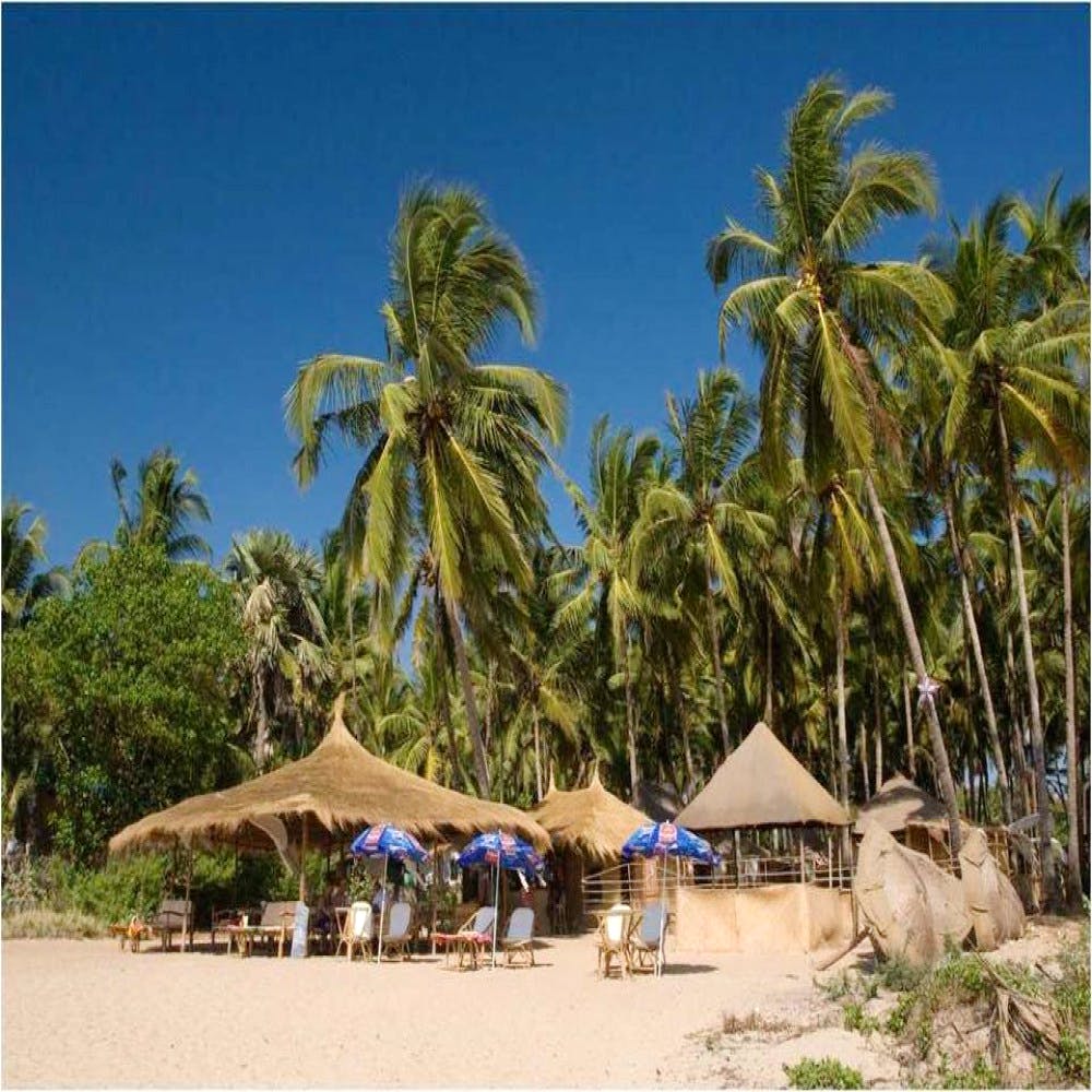 Palm tree,Tree,Vacation,Arecales,Tourism,Resort,Beach,Tropics,Woody plant,Sand