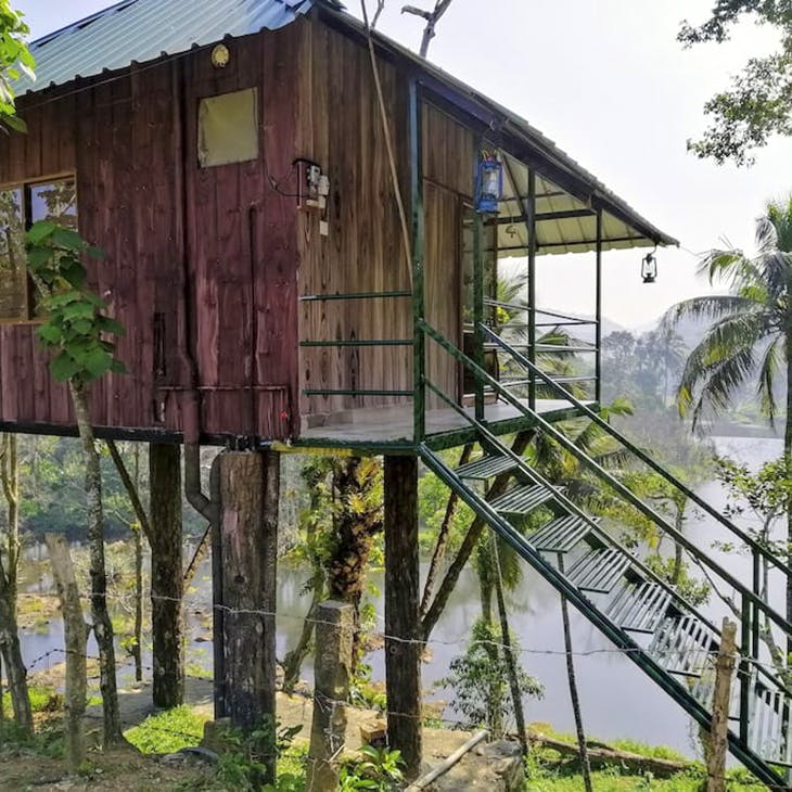 House,Building,Shack,Tree,Tree house,Jungle,Architecture,Cottage