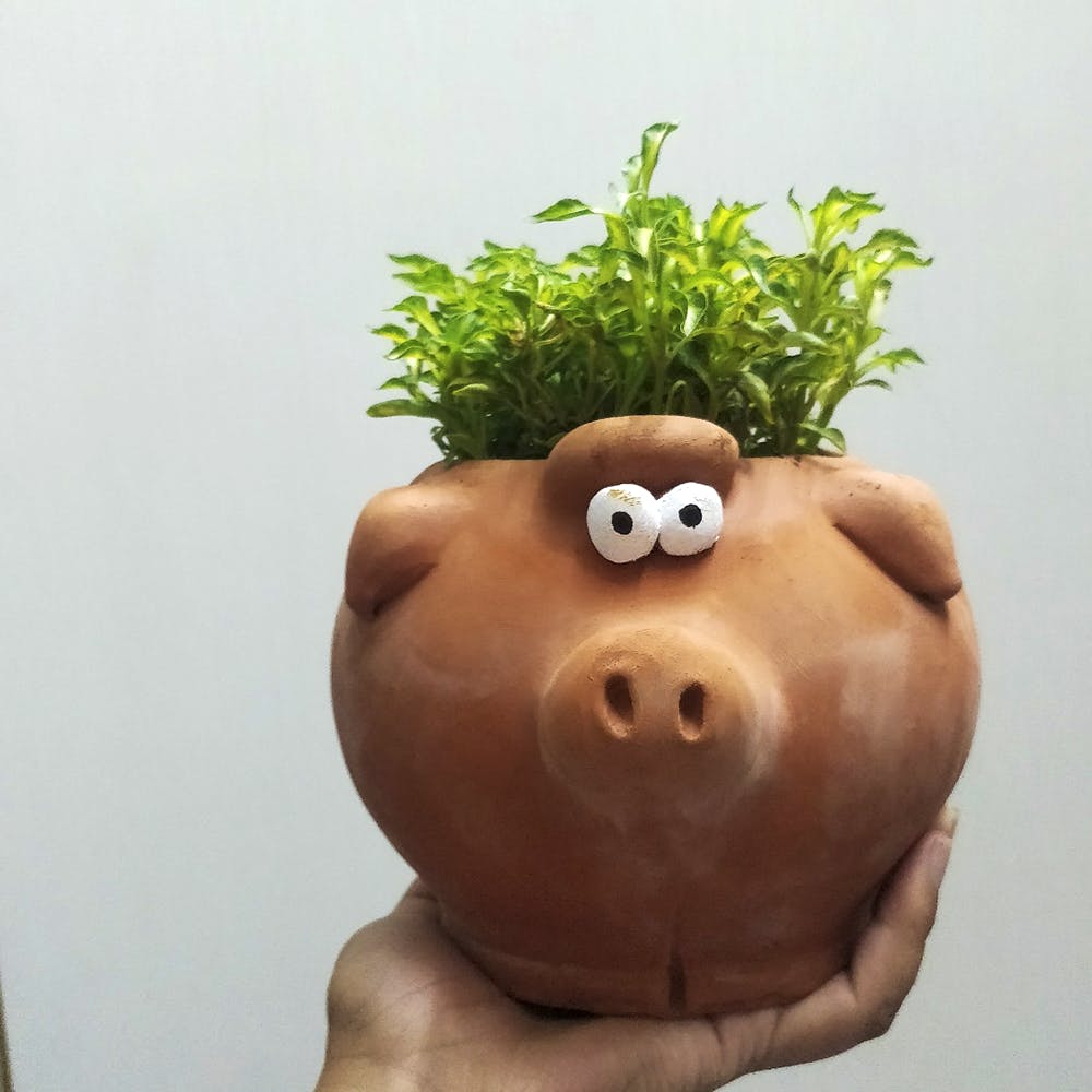 Flowerpot,Saving,Grass,Plant,Clay,Smile,Houseplant,Piggy bank