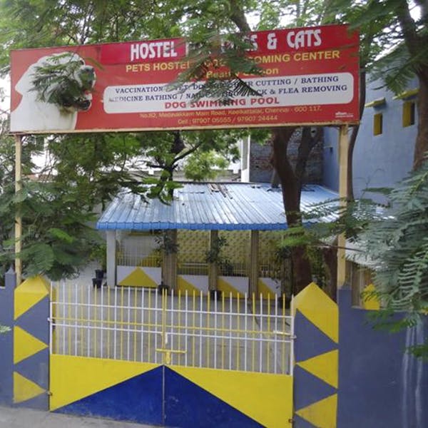 Dog hostel near sales me