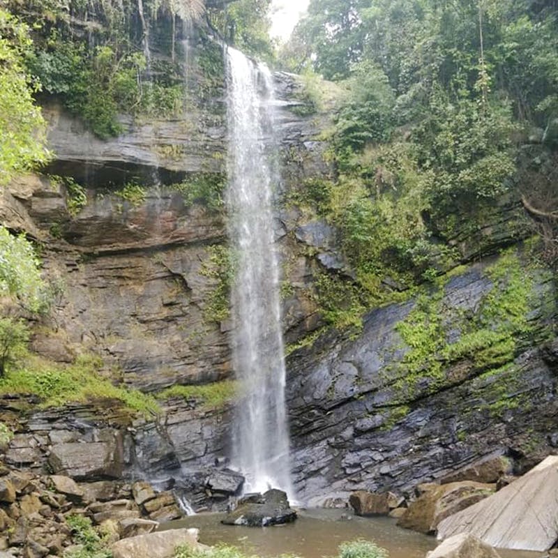 Waterfall,Water resources,Body of water,Natural landscape,Water,Nature,Nature reserve,Watercourse,Chute,State park