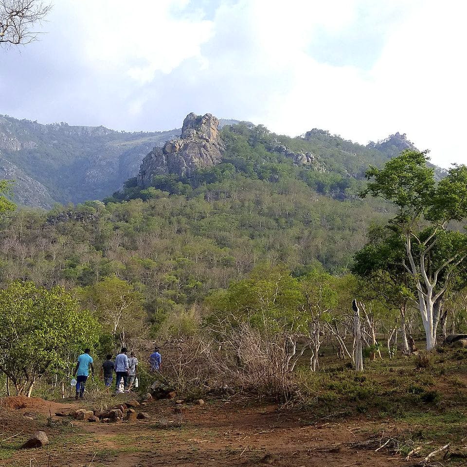 Vegetation,Mountainous landforms,Mountain,Hill station,Wilderness,Nature reserve,Natural environment,Hill,Natural landscape,Geological phenomenon