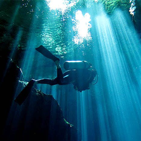 Water,Blue,Underwater,Light,Underwater diving,Recreation,Sunlight,Organism,Snorkeling,Freediving