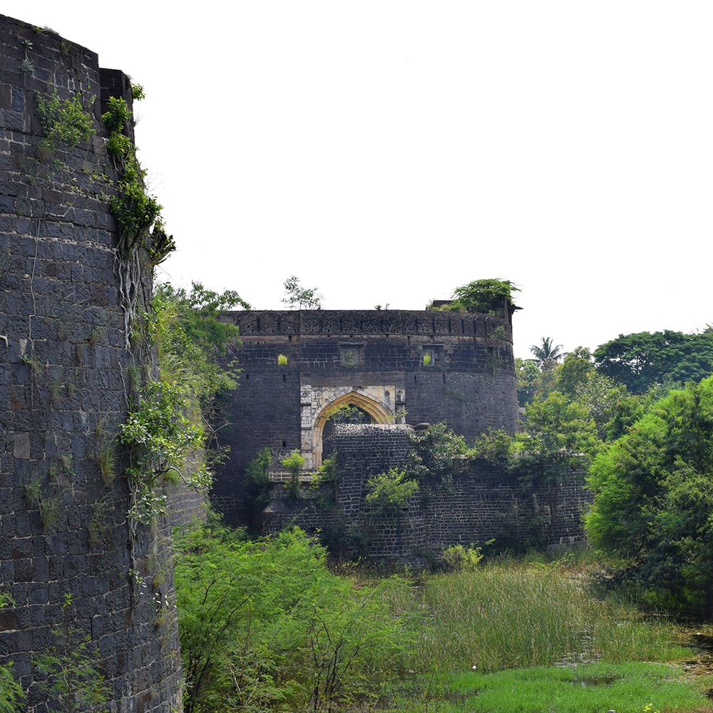 Ruins,Wall,Fortification,Building,Castle,Architecture,History,Ancient history,Tree,Rural area