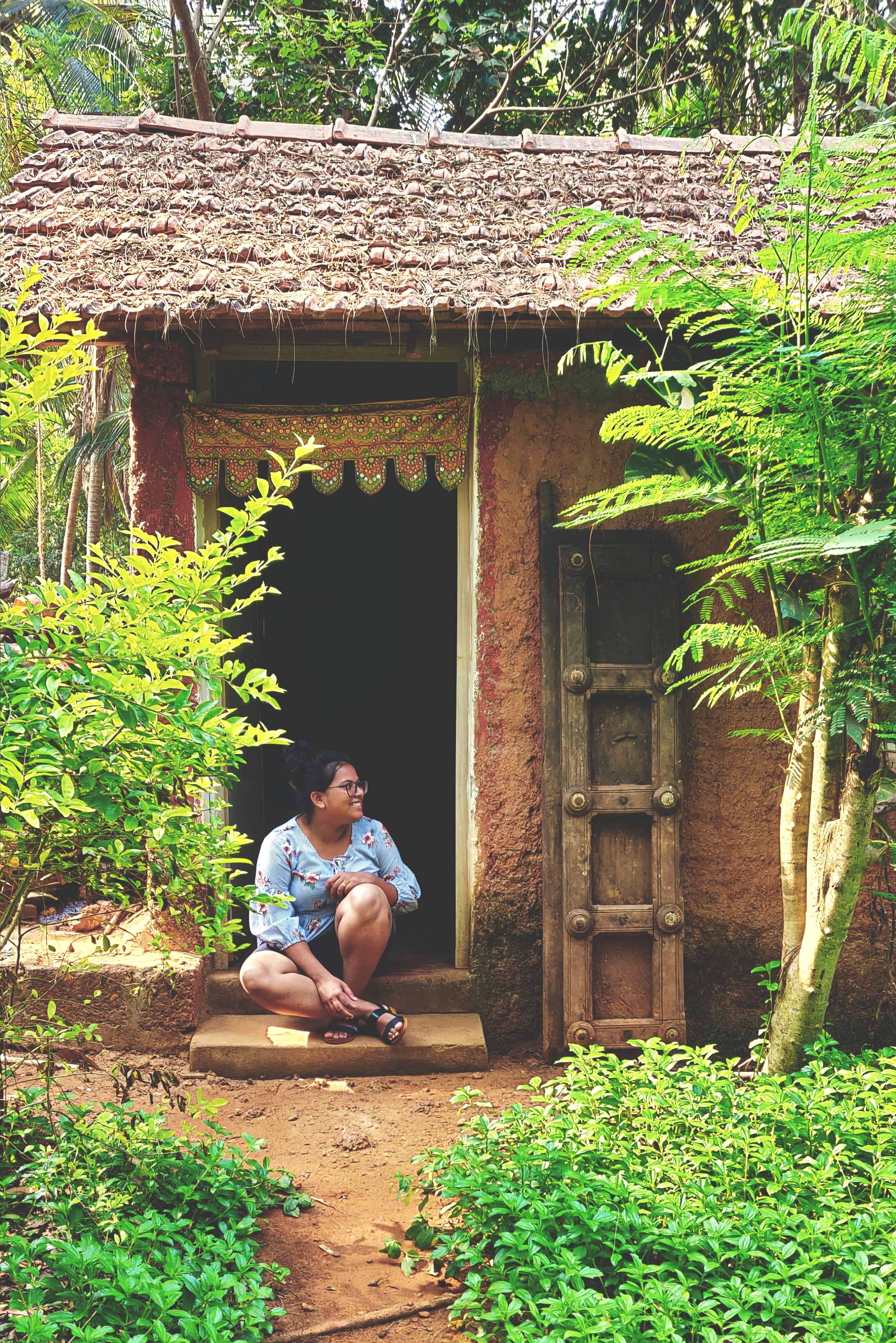 Botany,Tree,House,Shack,Jungle,Shed,Rural area,Building,Leisure,Log cabin