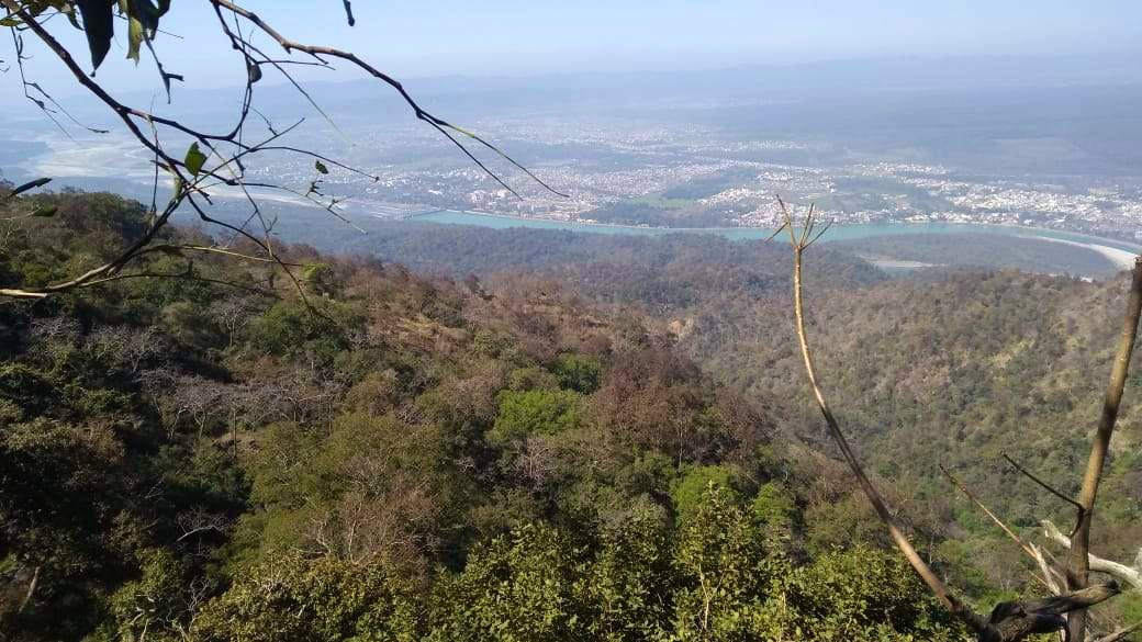 Vegetation,Hill station,Mountainous landforms,Natural environment,Wilderness,Mountain,Tree,Nature reserve,Sky,Forest