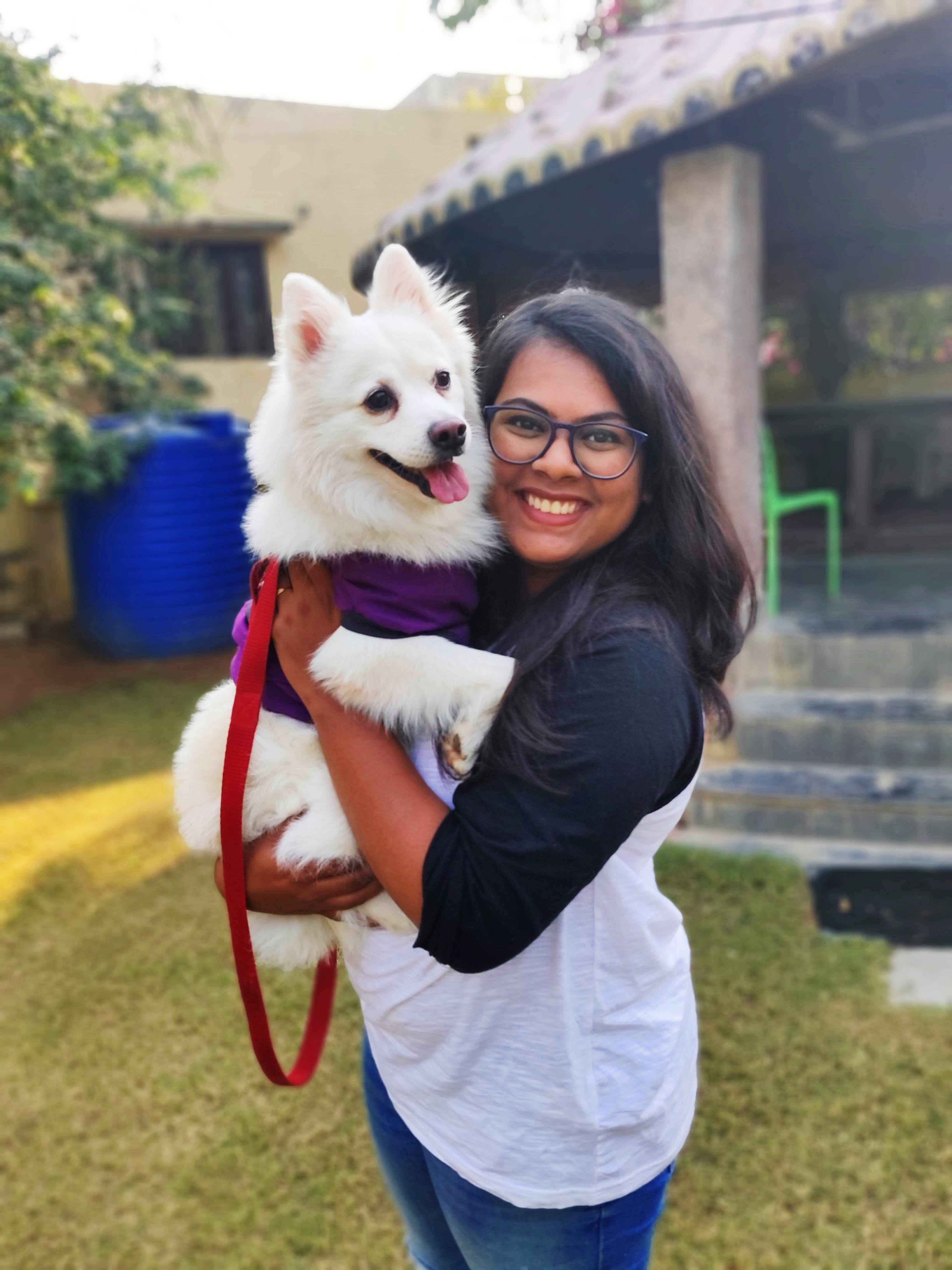 Dog,Mammal,Canidae,Pomeranian,Japanese spitz,Companion dog,Berger blanc suisse,Dog breed,Carnivore,White shepherd